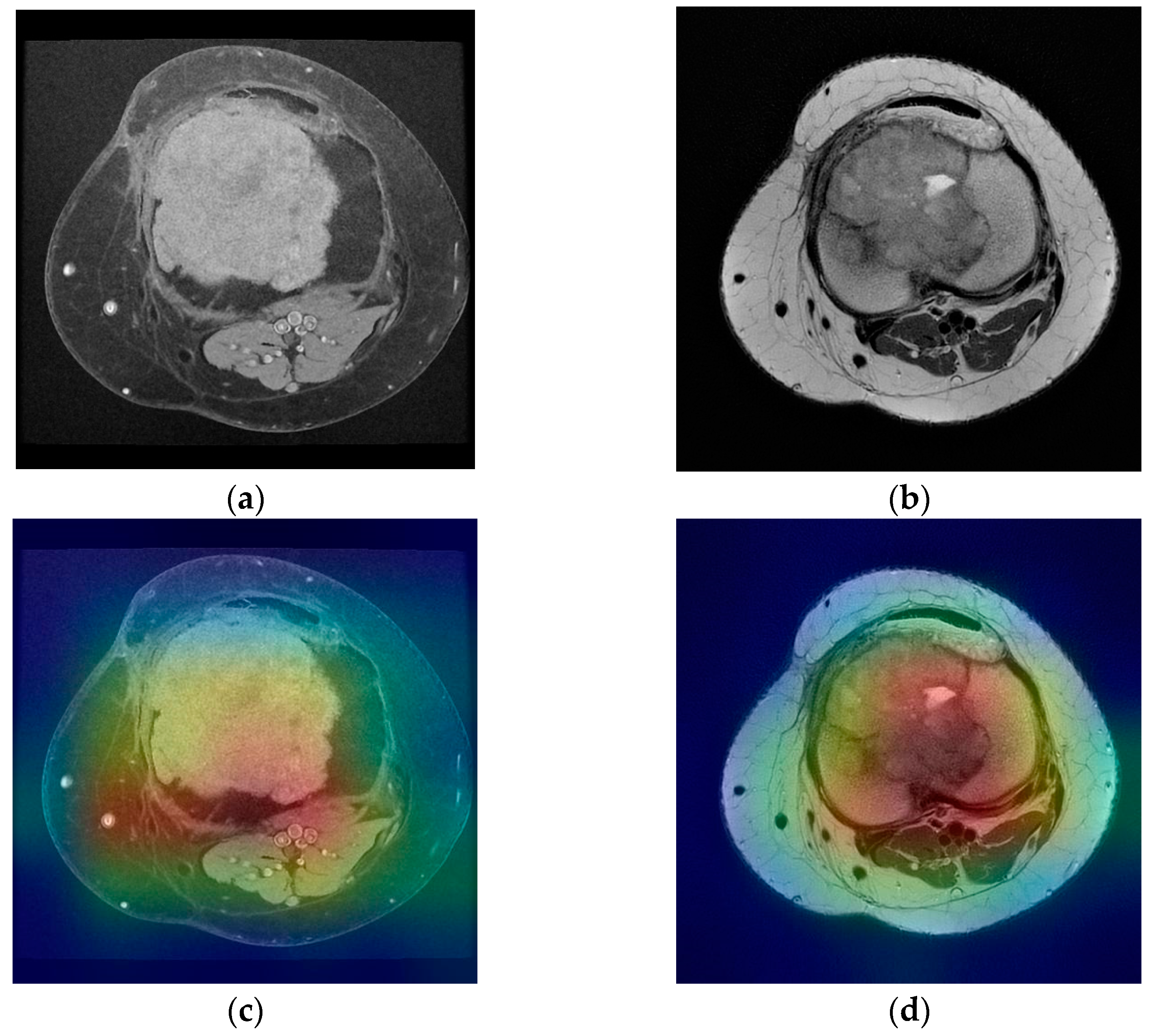 Medicina 58 00636 g007