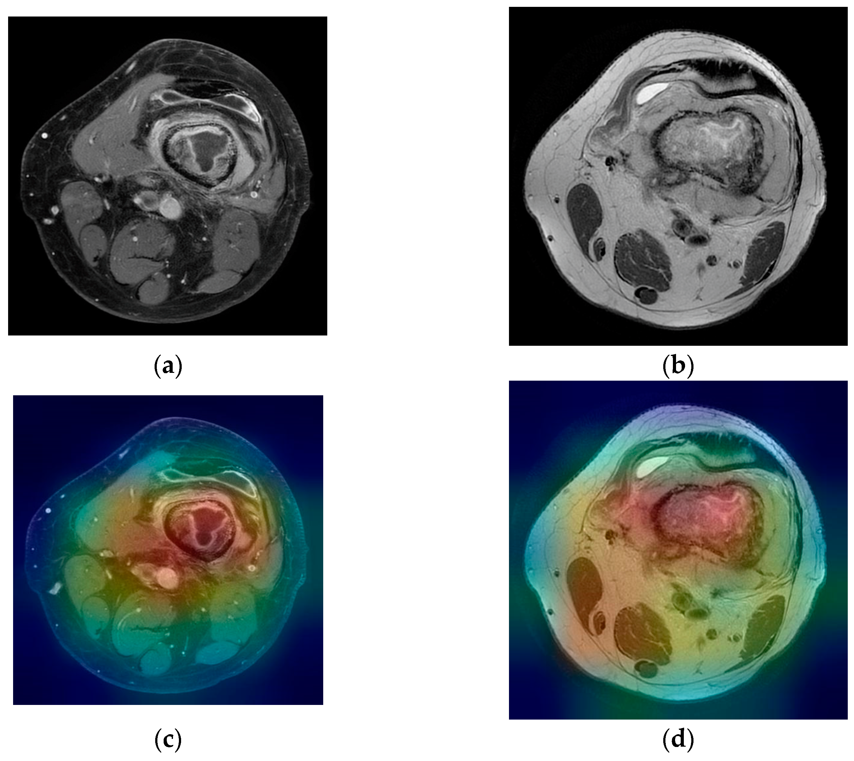 Medicina 58 00636 g008