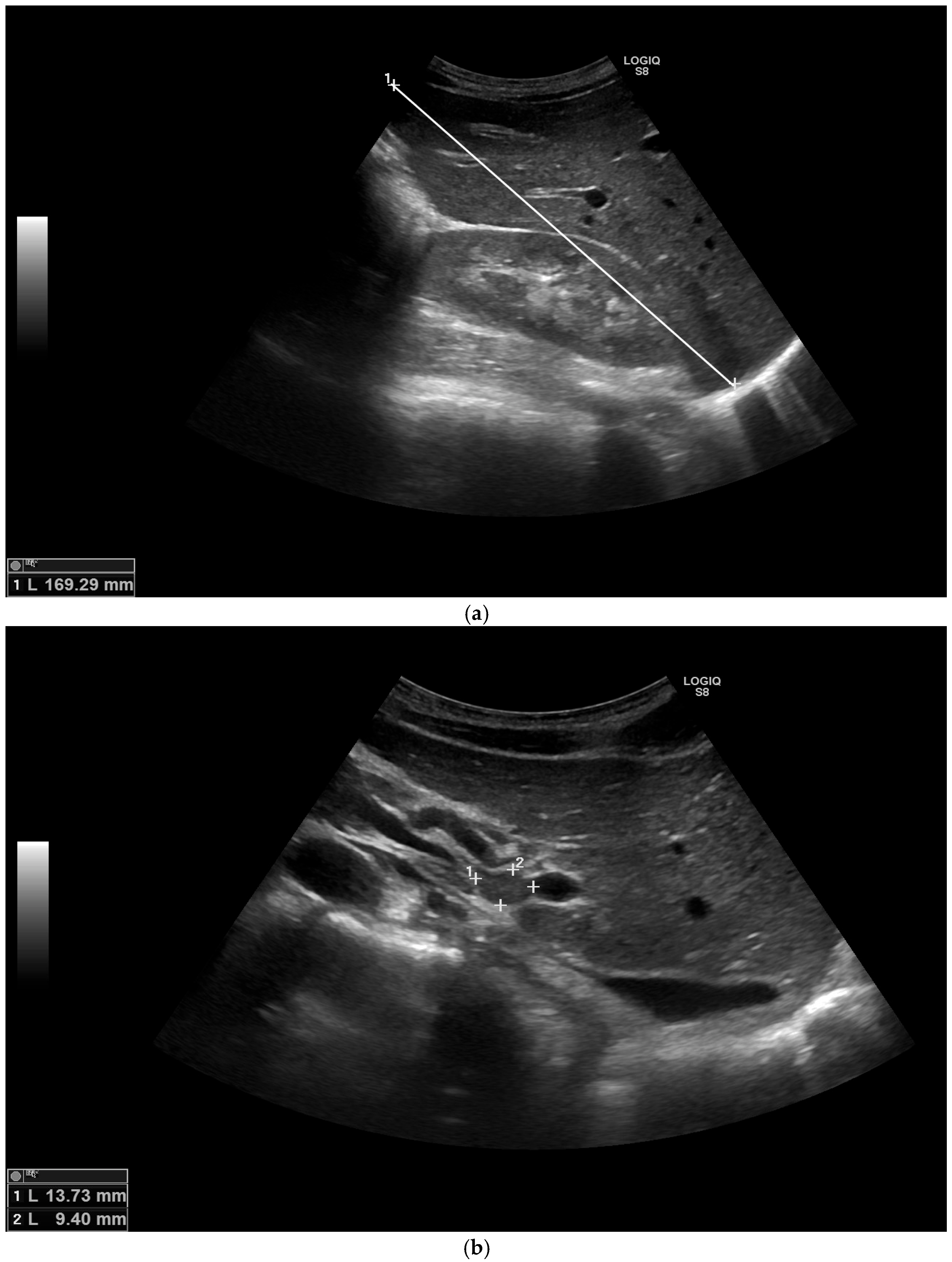 Medicina 58 00655 g001