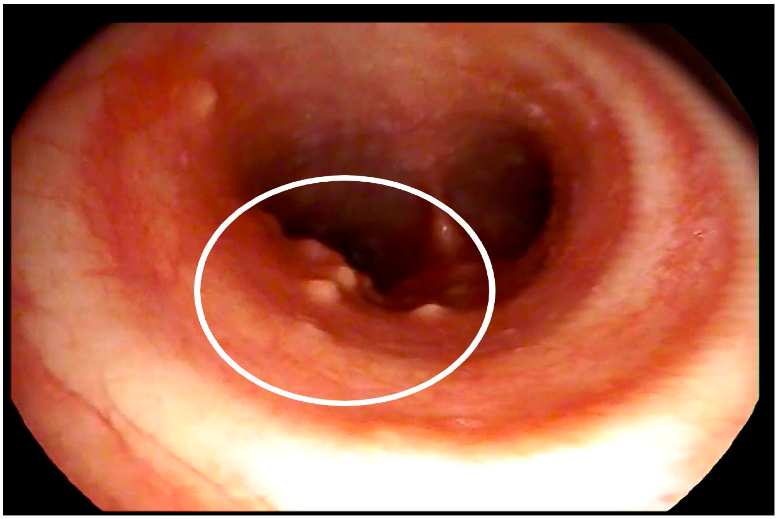 Medicina 58 00655 g003