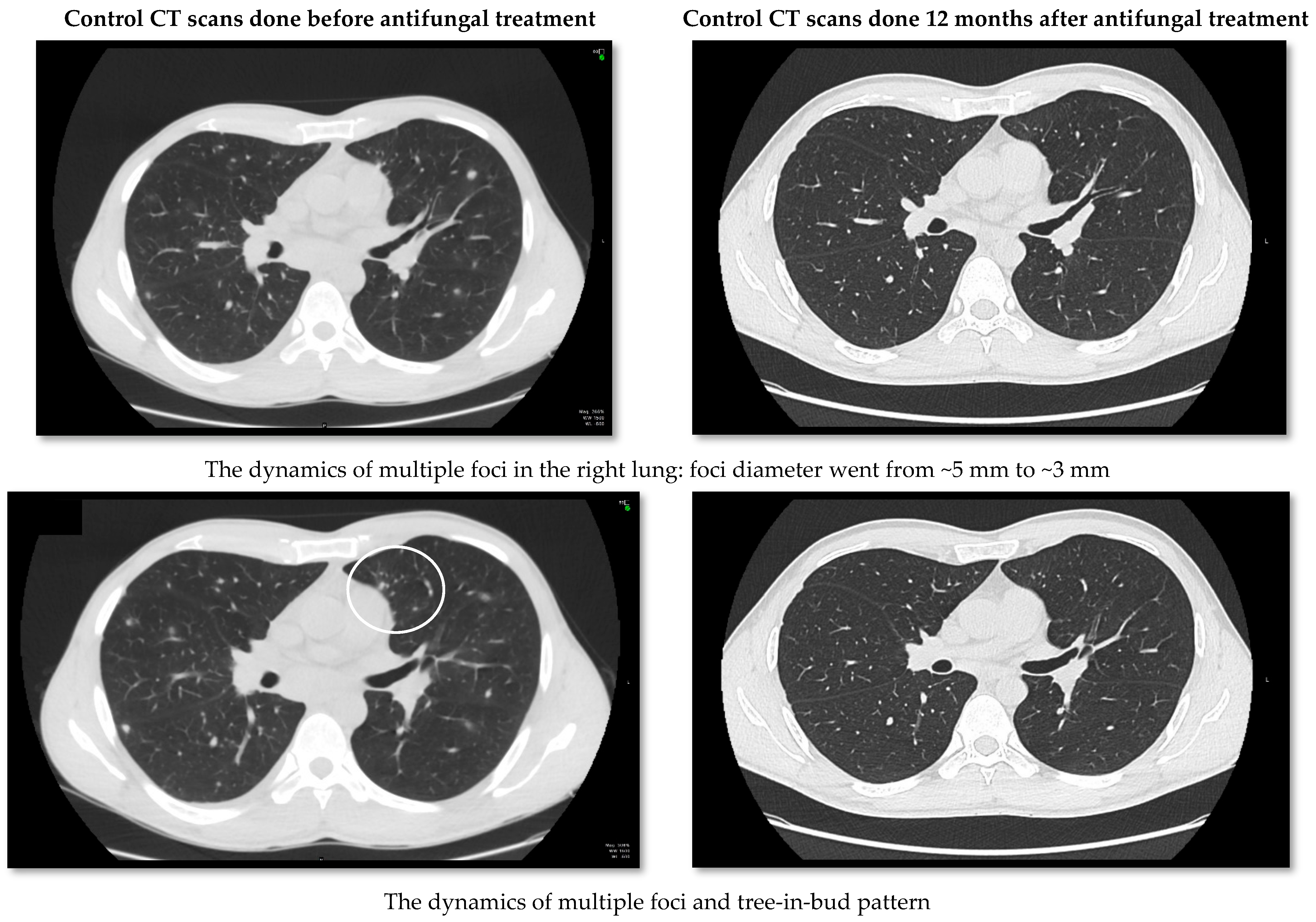 Medicina 58 00655 g004a