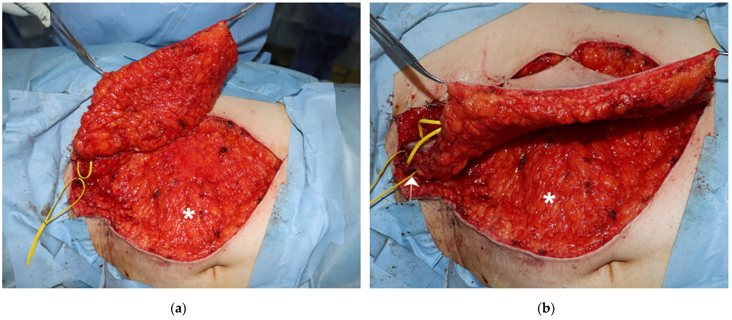 Medicina 58 00670 g001