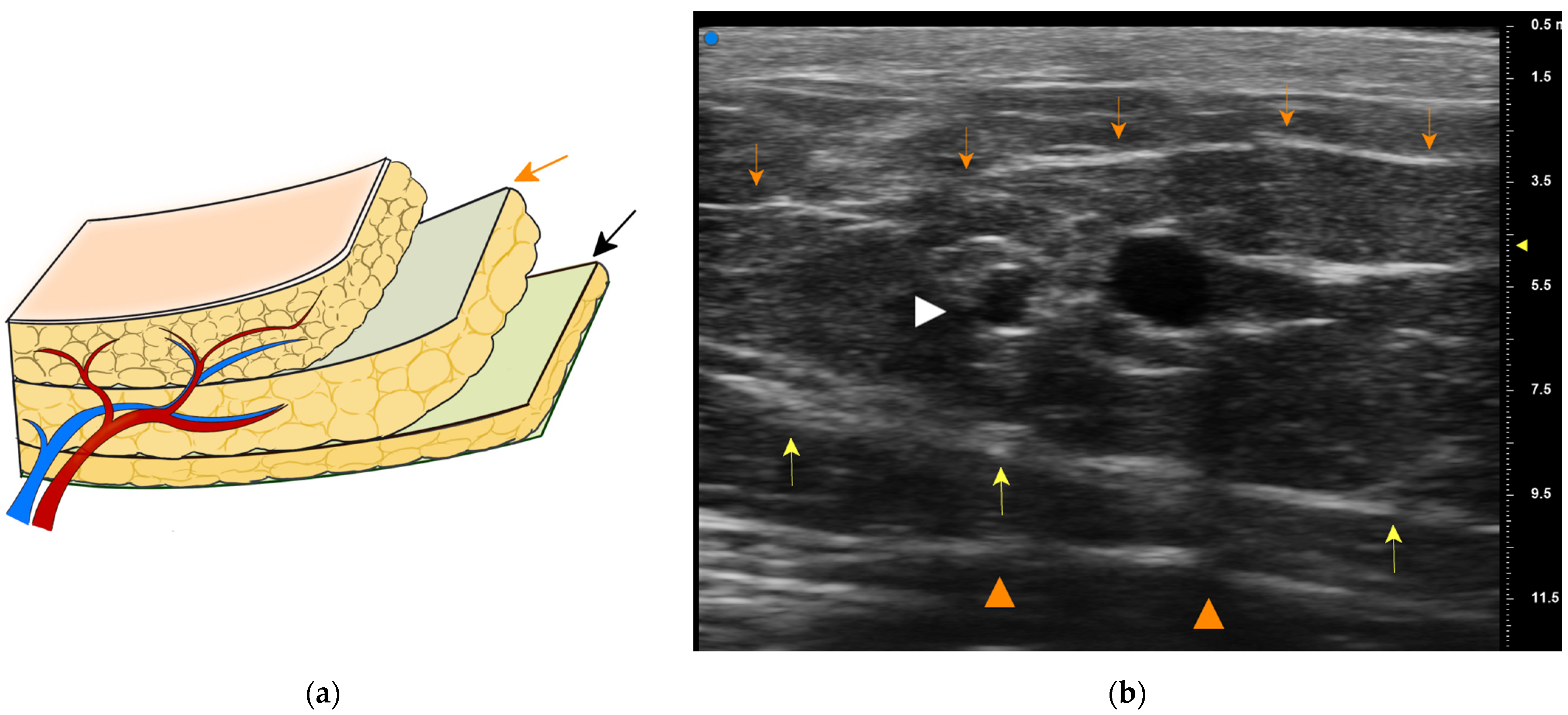 Medicina 58 00670 g007
