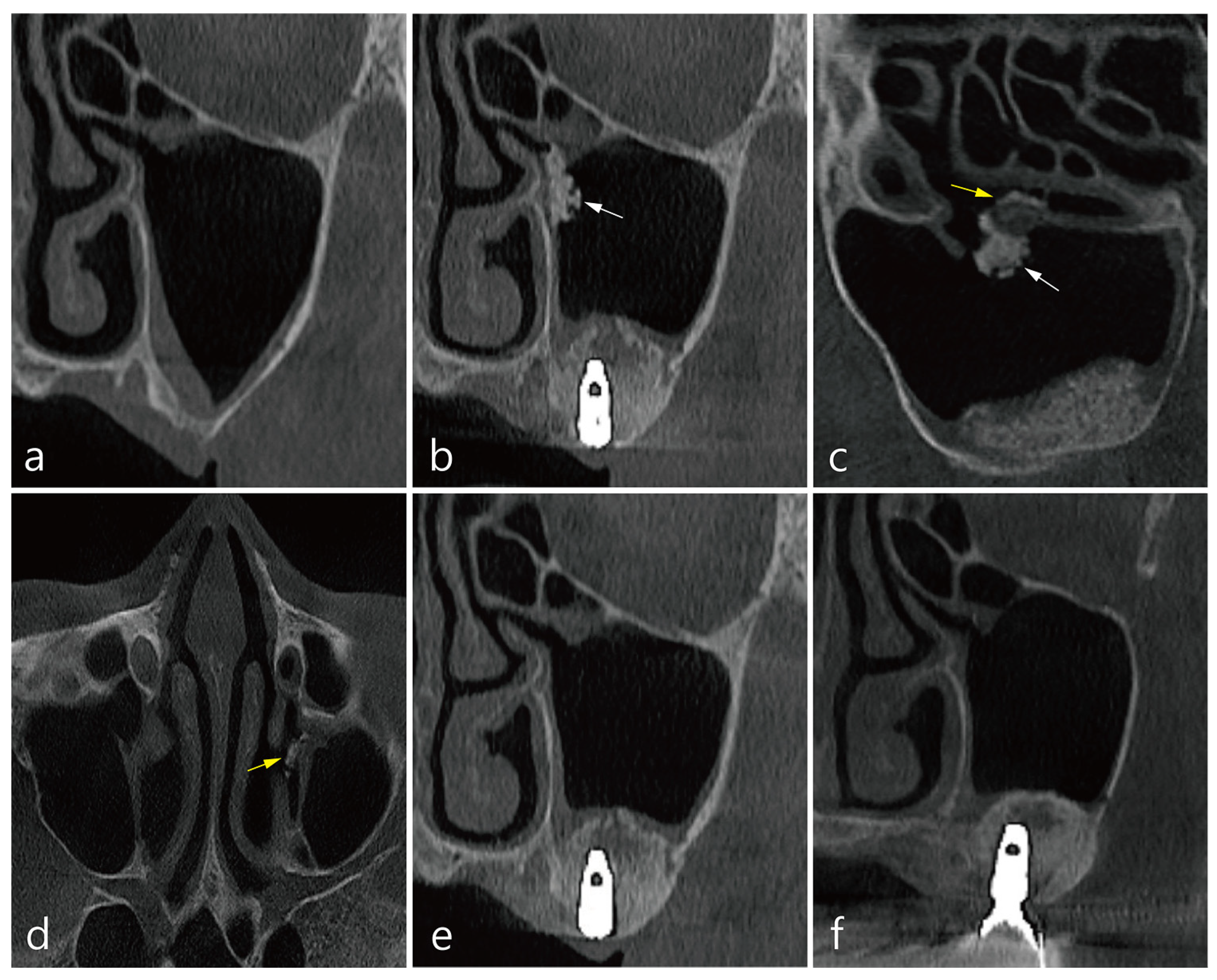 Medicina 58 00672 g001