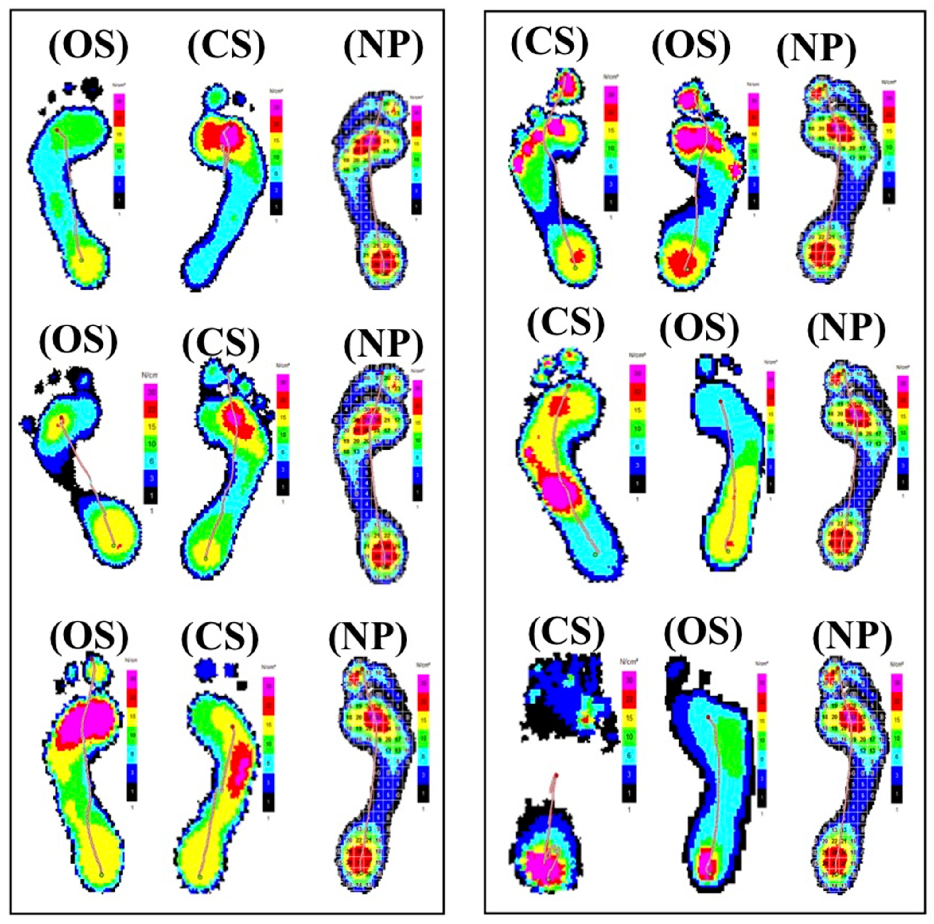 Medicina 58 00696 g001
