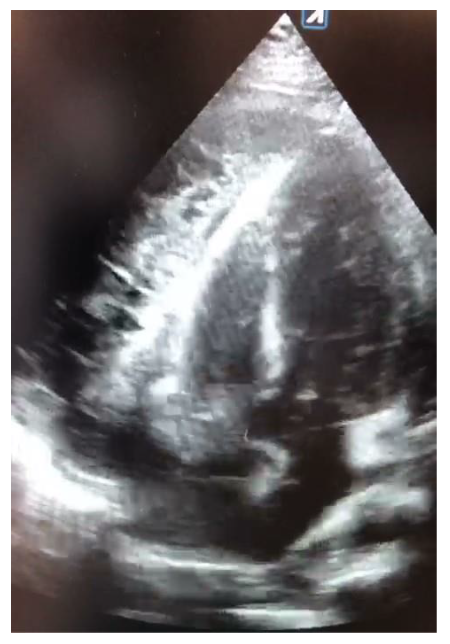 Medicina 58 00699 g001