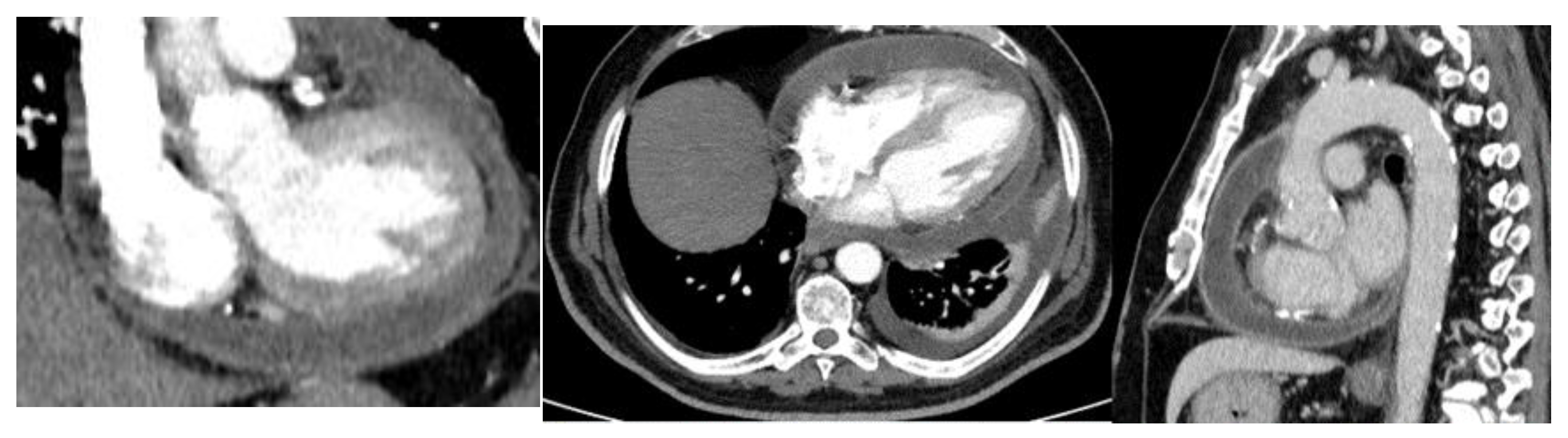 Medicina 58 00699 g002