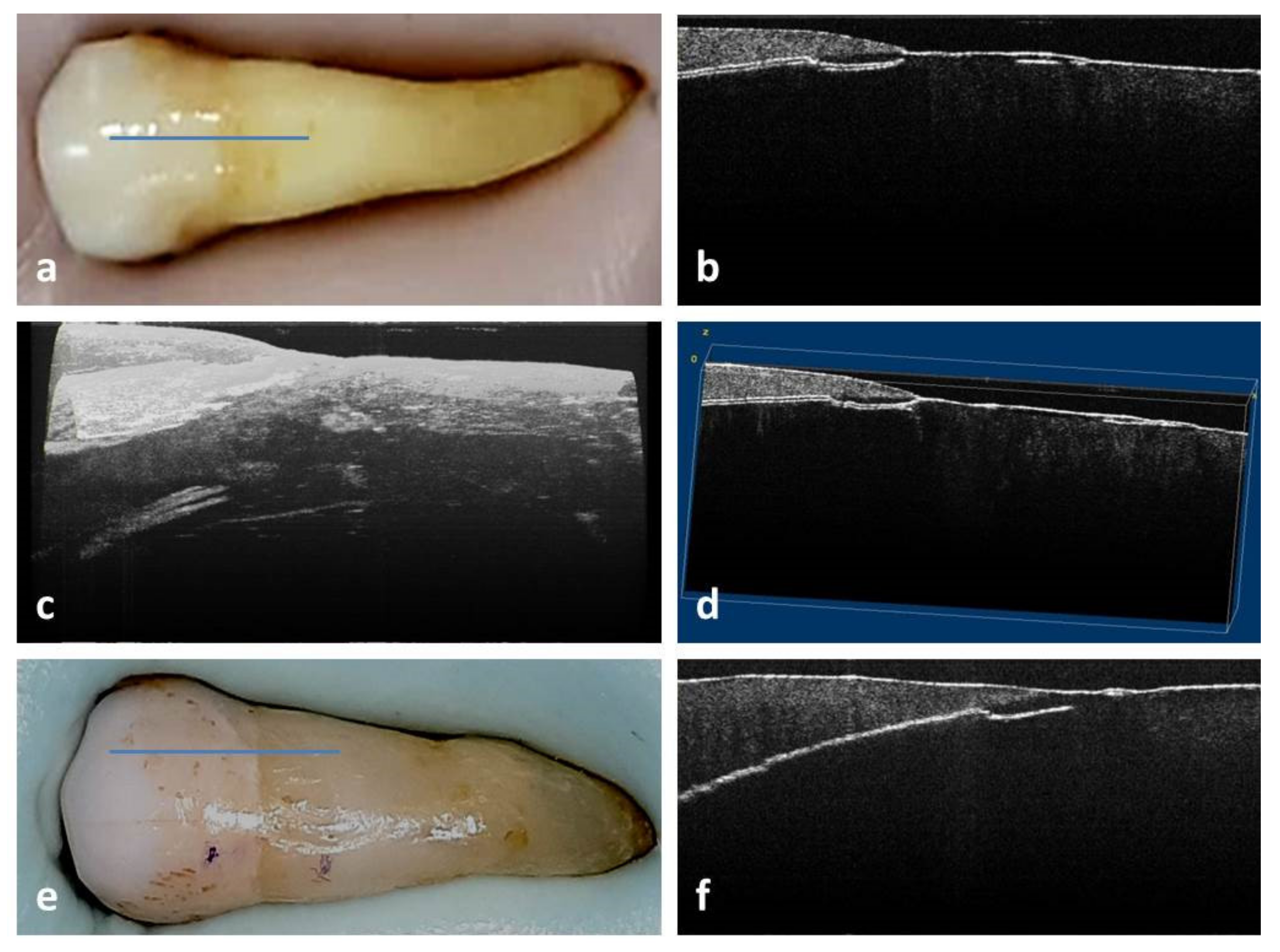 Medicina 58 00702 g002