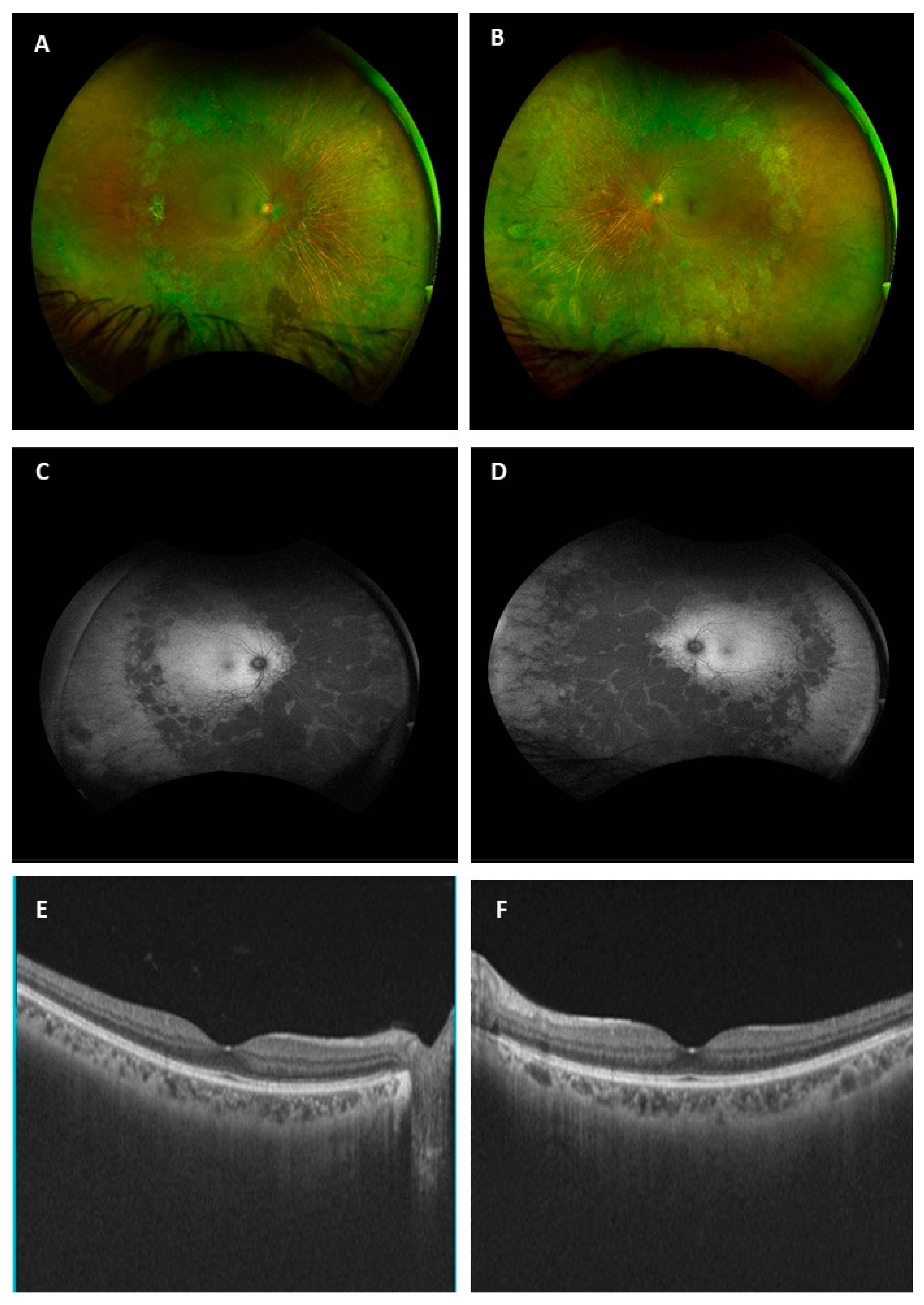 Medicina 58 00735 g001
