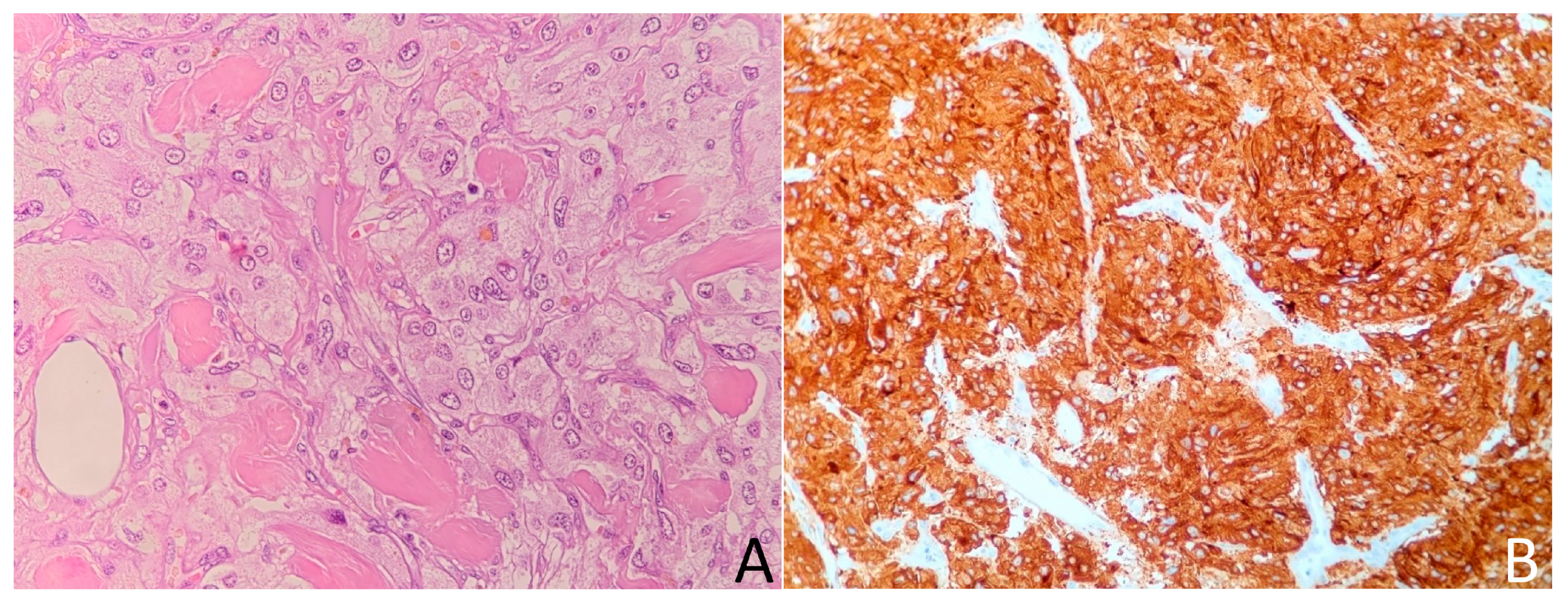 Medicina 58 00746 g004