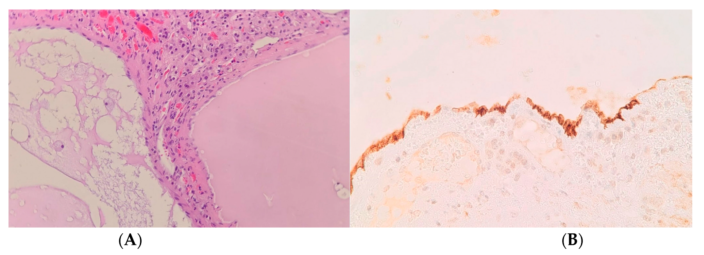 Medicina 58 00746 g009