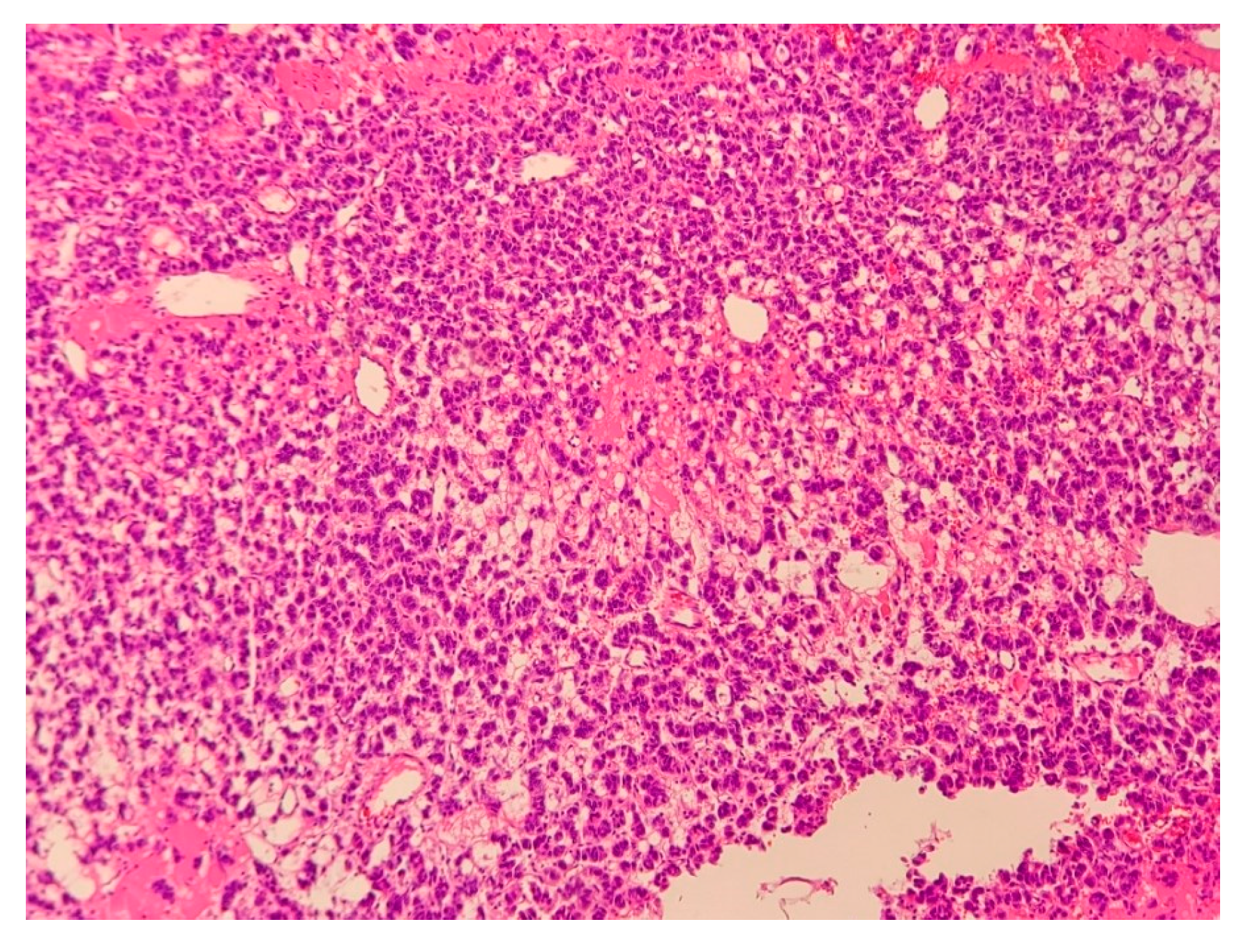 Medicina 58 00746 g013