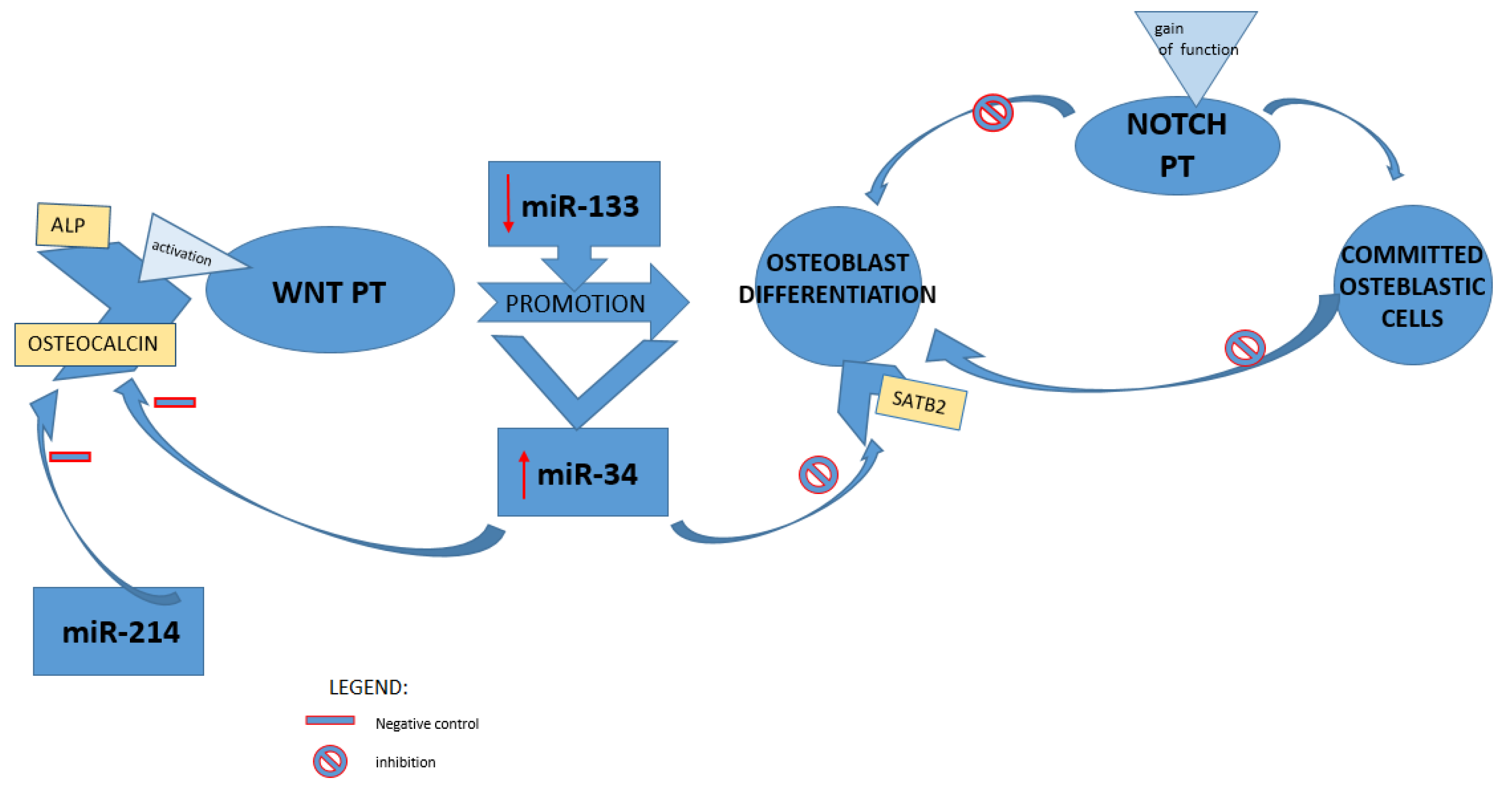Medicina 58 00767 g003