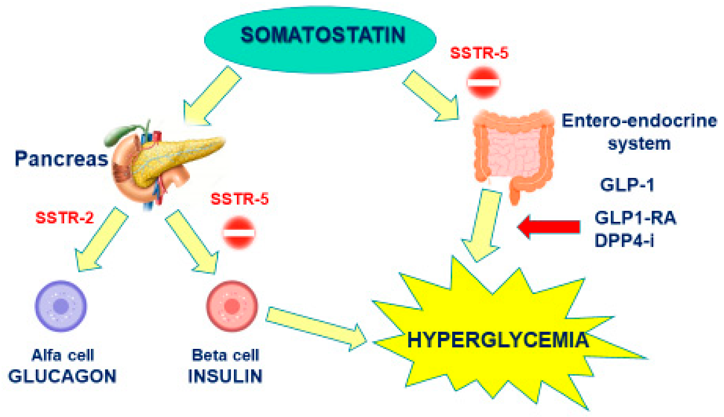 Medicina 58 00794 g001