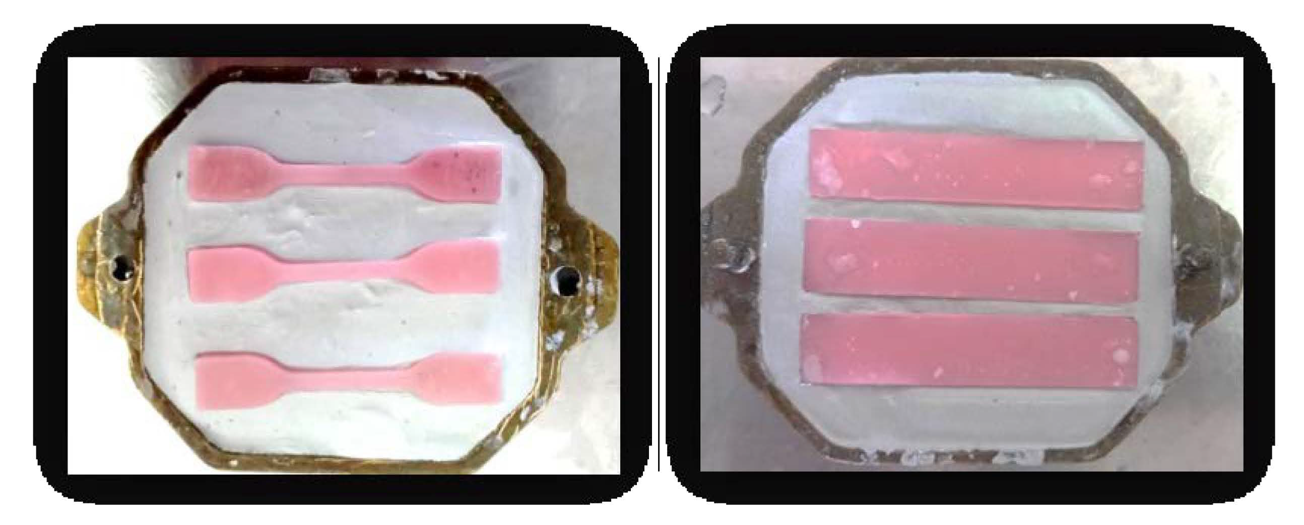 Medicina 58 00811 g002