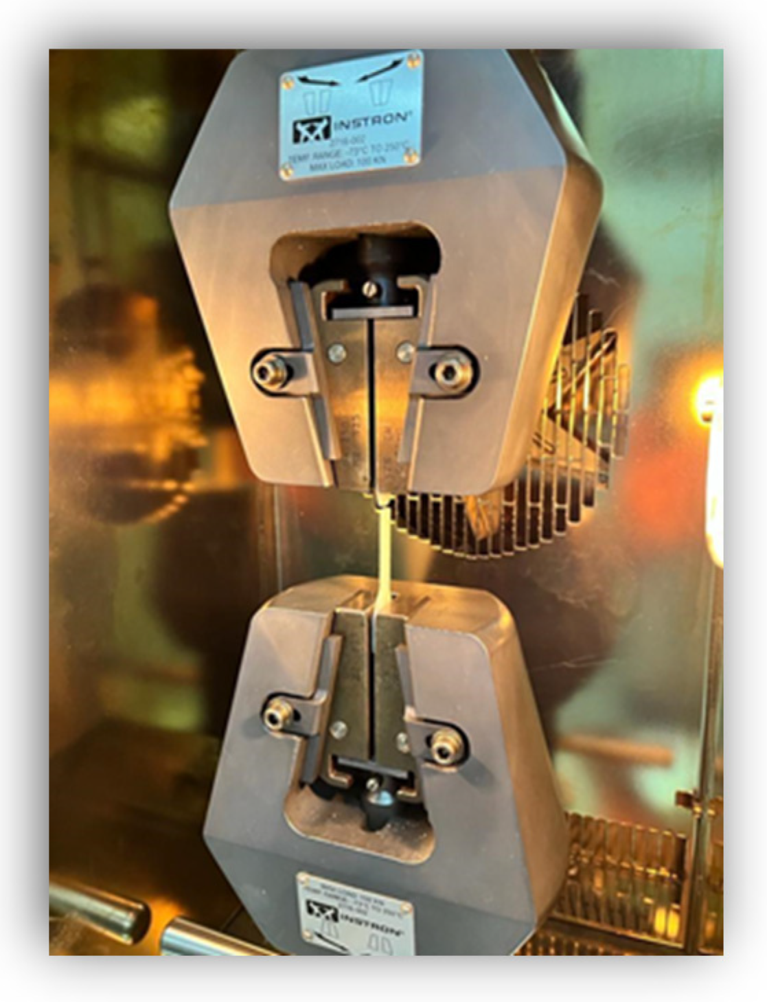 Medicina 58 00811 g007