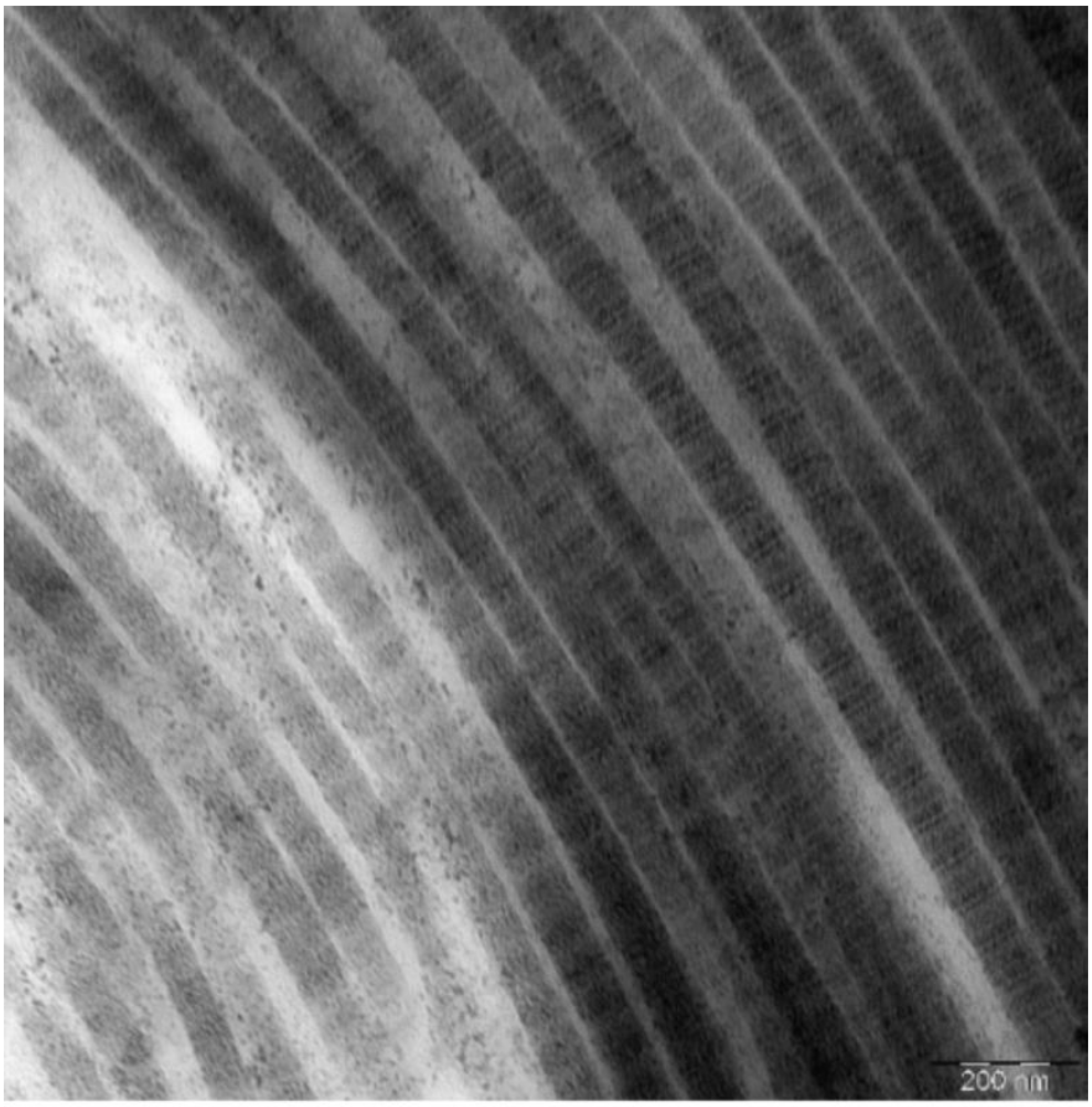 Medicina 58 00819 g003