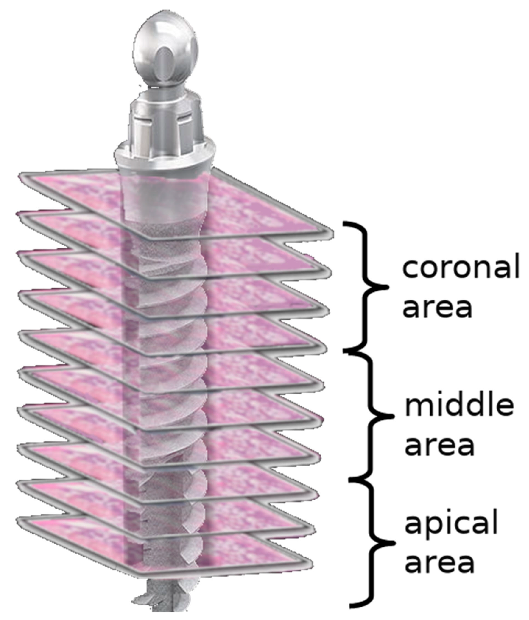Medicina 58 00849 g002 Medicina 58 00849 g002