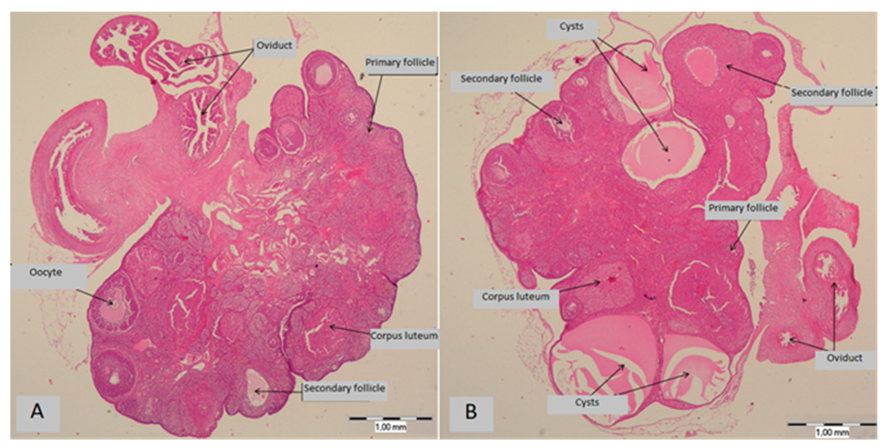 Medicina 58 00854 g003