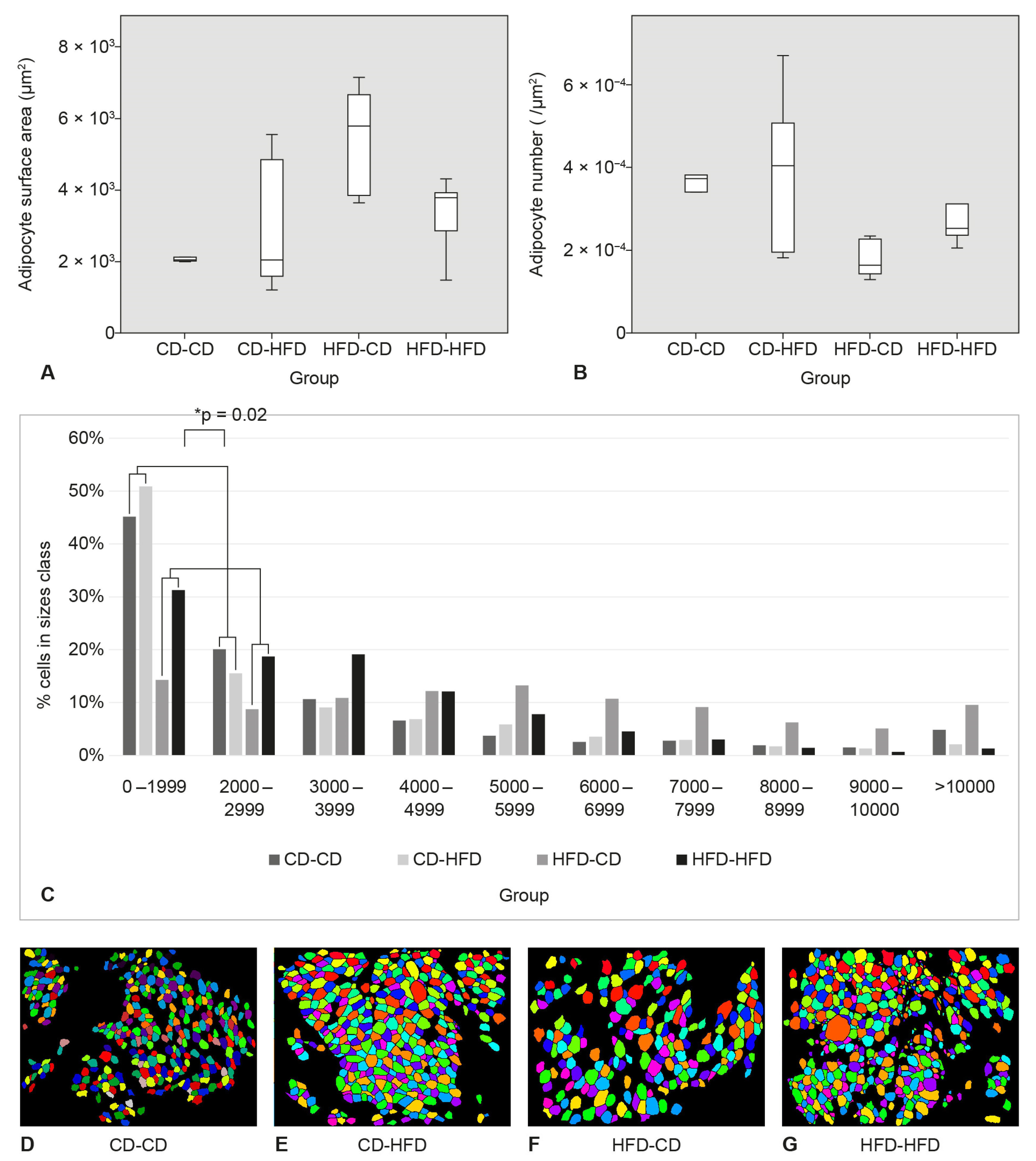 Medicina 58 00854 g004