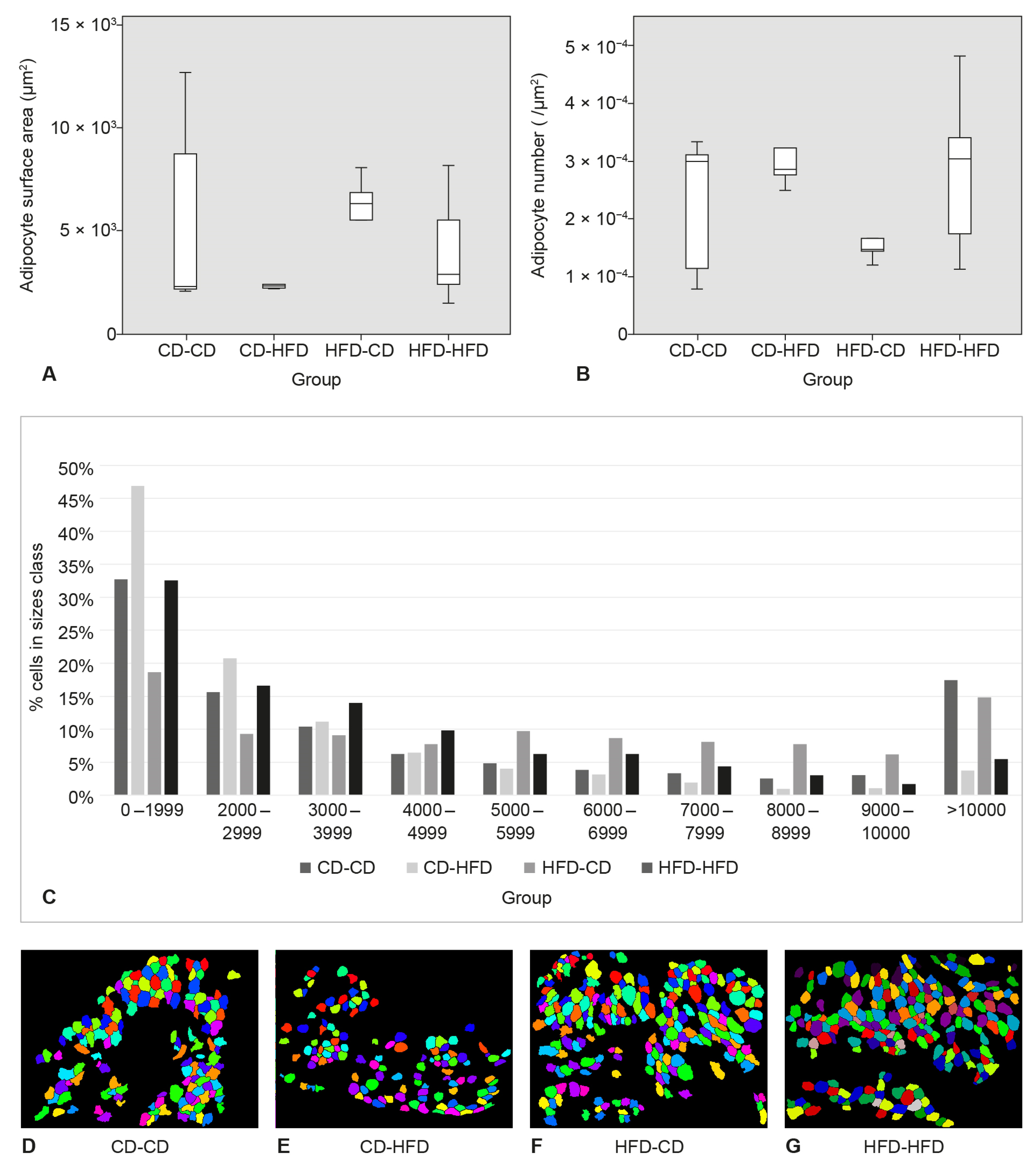 Medicina 58 00854 g005