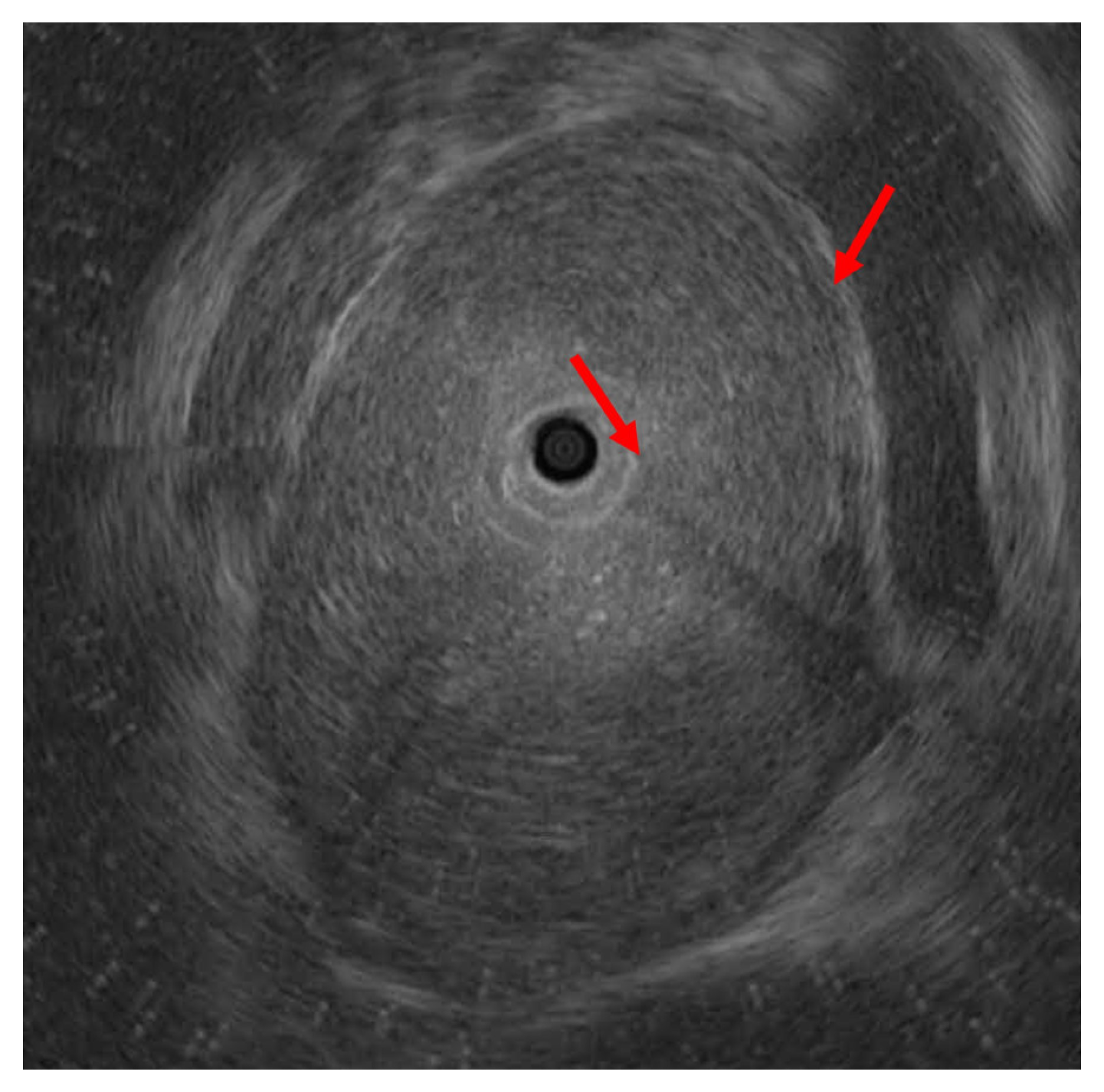 Medicina 58 00864 g007