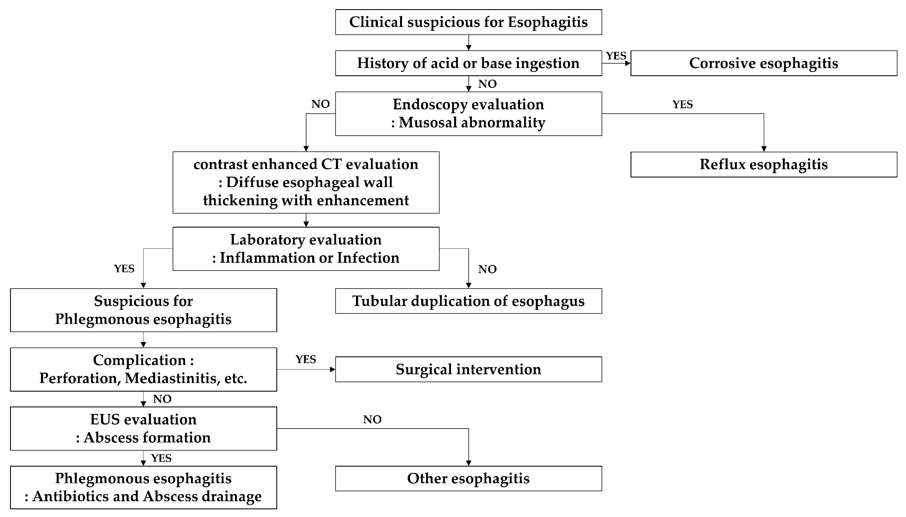 Medicina 58 00864 g008