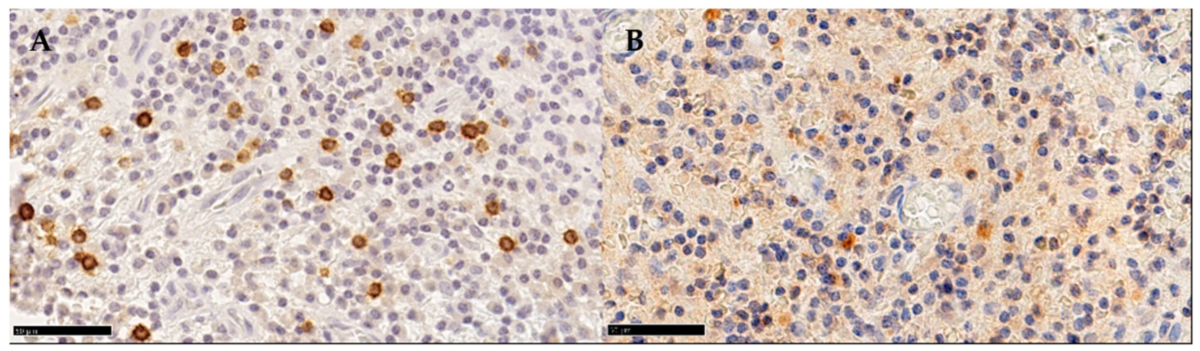 Medicina 58 00867 g001