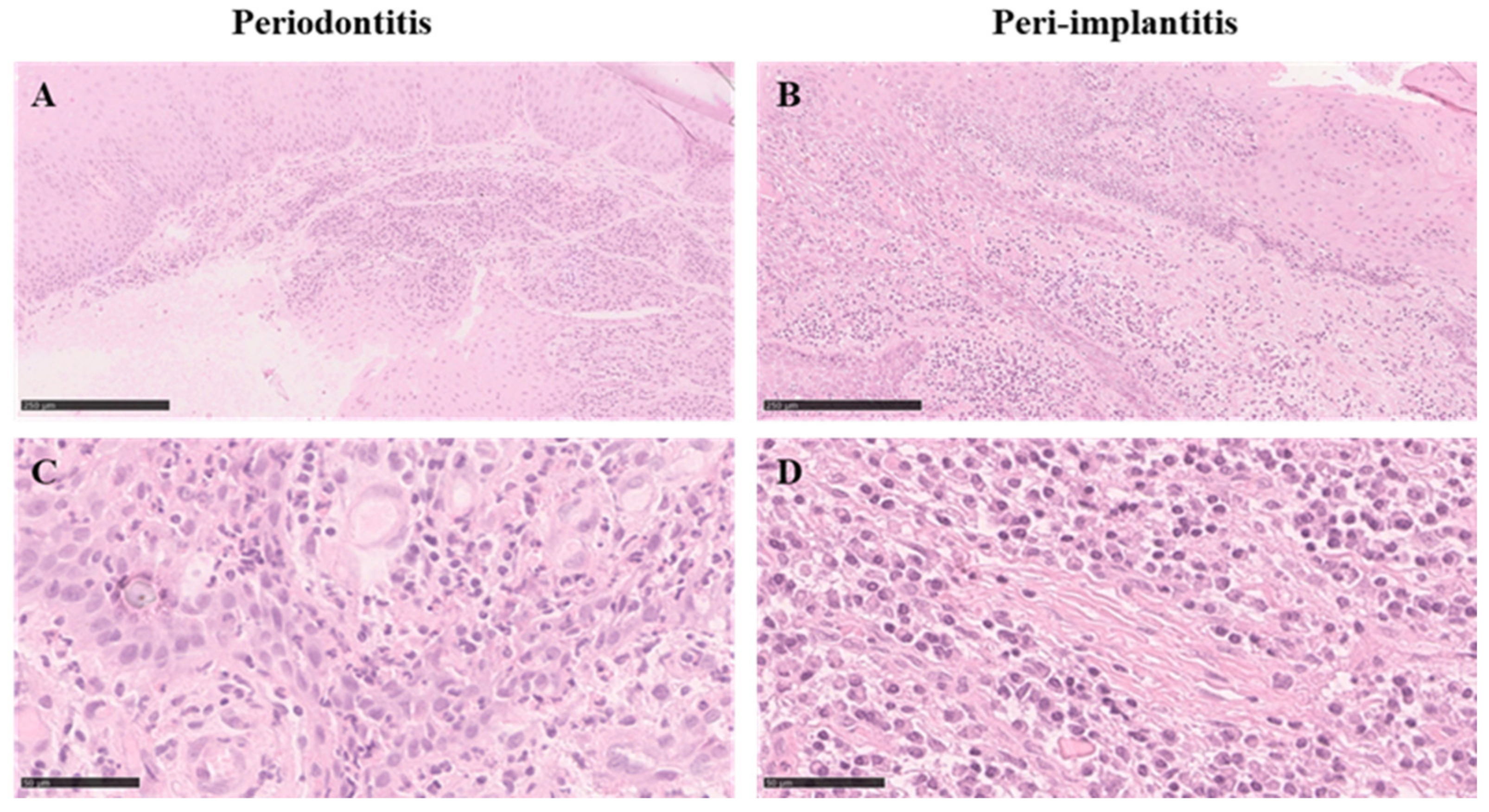 Medicina 58 00867 g003