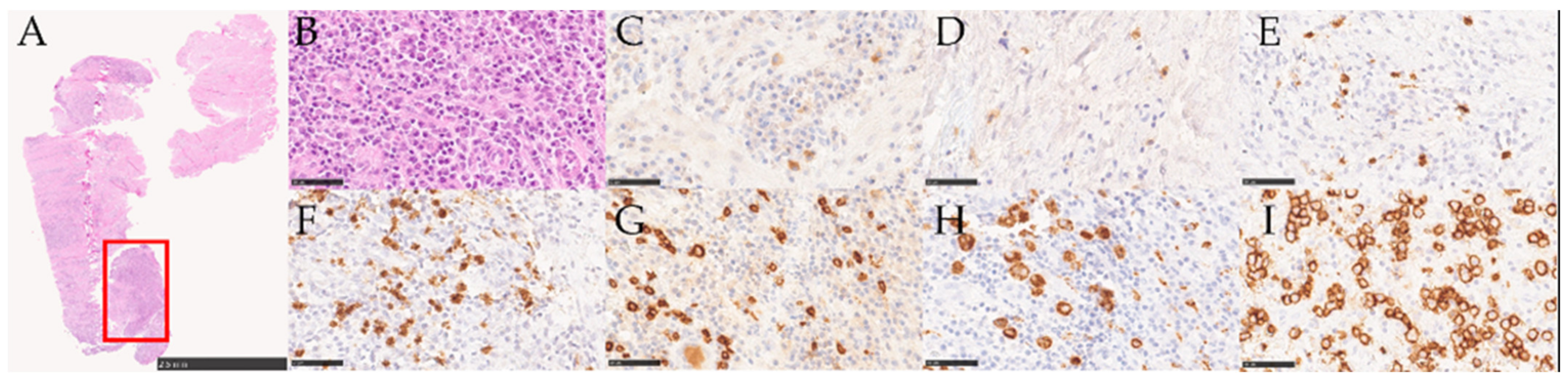 Medicina 58 00867 g004