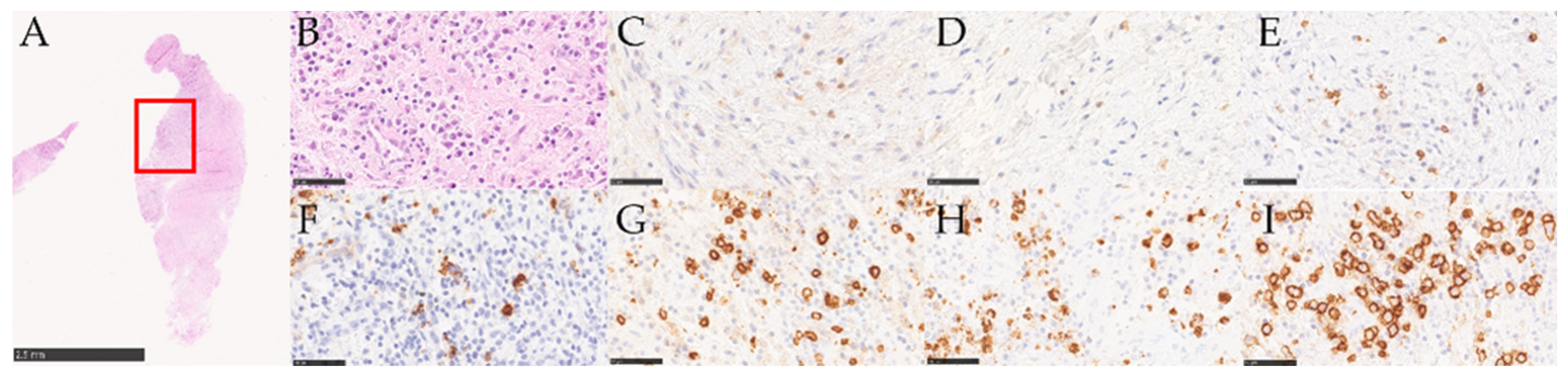 Medicina 58 00867 g005