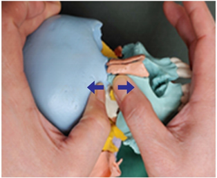 Medicina 58 00869 i002