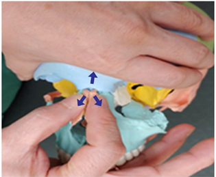 Medicina 58 00869 i004