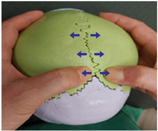 Medicina 58 00869 i006