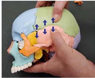 Medicina 58 00869 i008