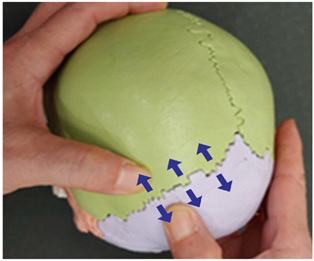 Medicina 58 00869 i009