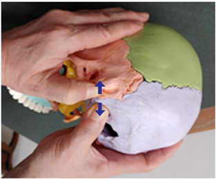 Medicina 58 00869 i010