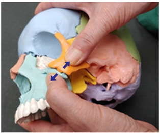 Medicina 58 00869 i014