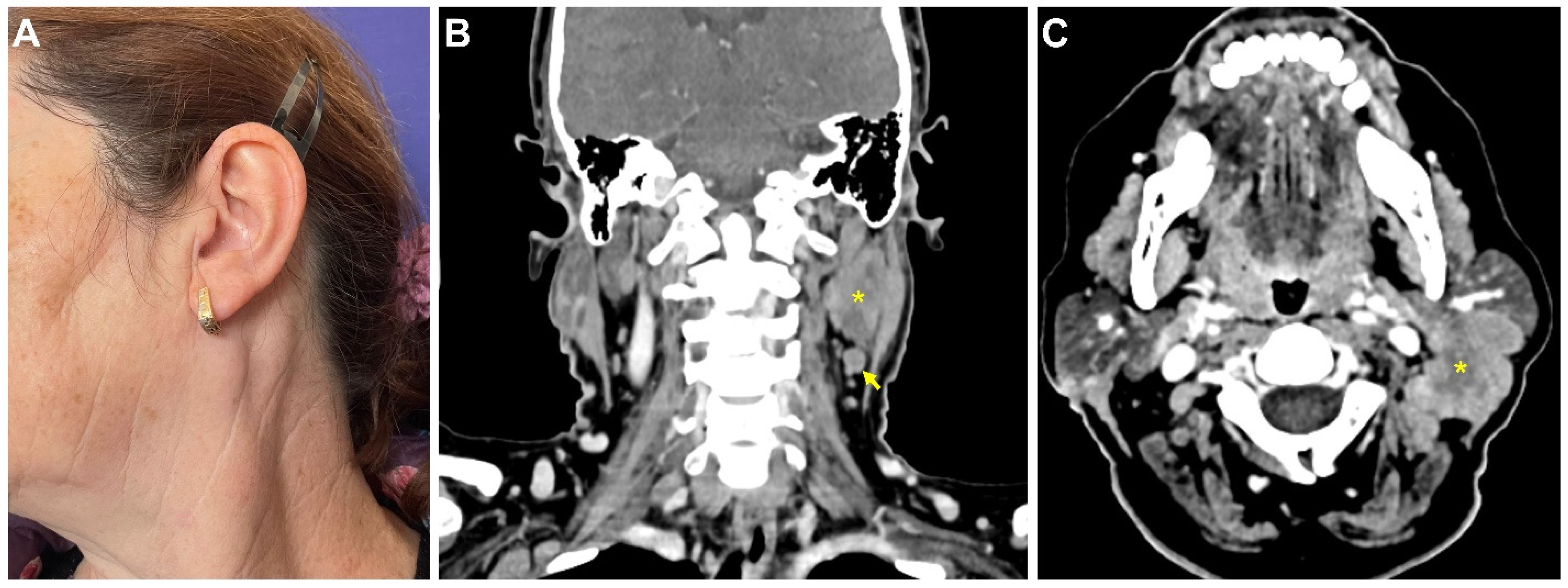 Medicina 58 00874 g001