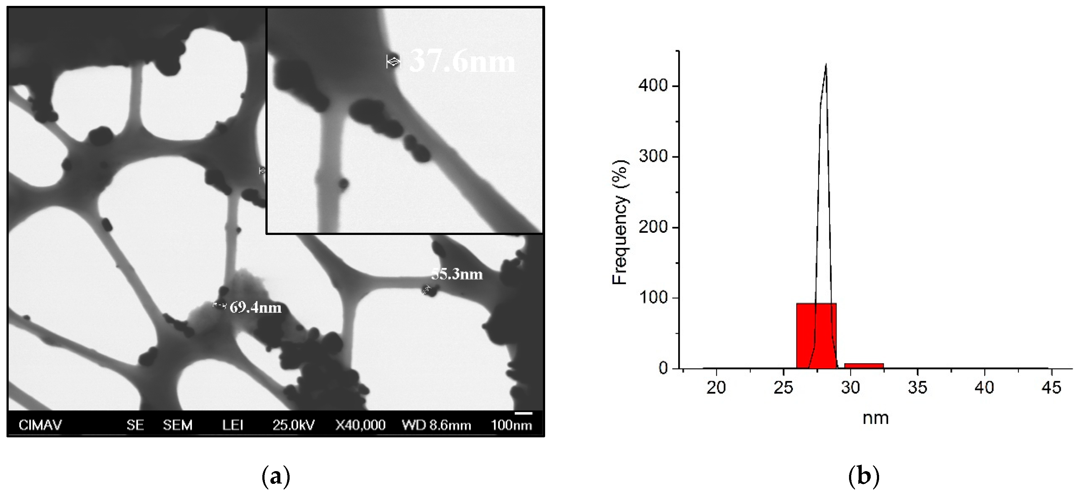 Medicina 58 00877 g001 Medicina 58 00877 g001