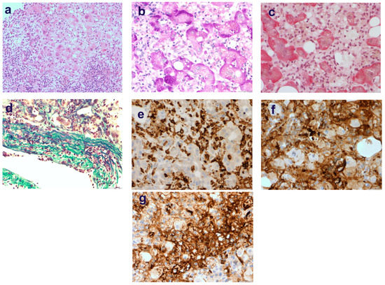 Medicina 58 00896 g0a2 550