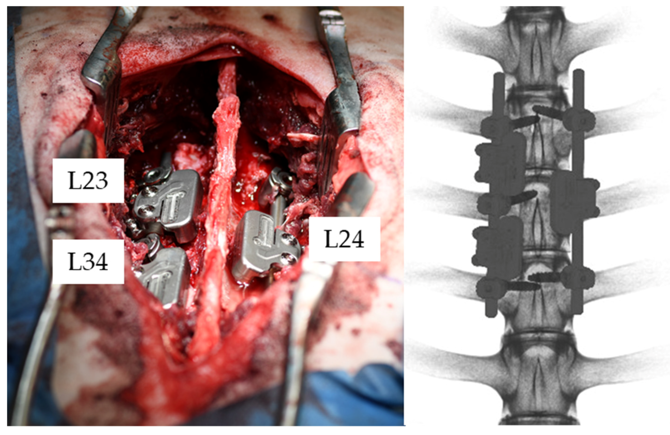 Medicina 58 00899 g002