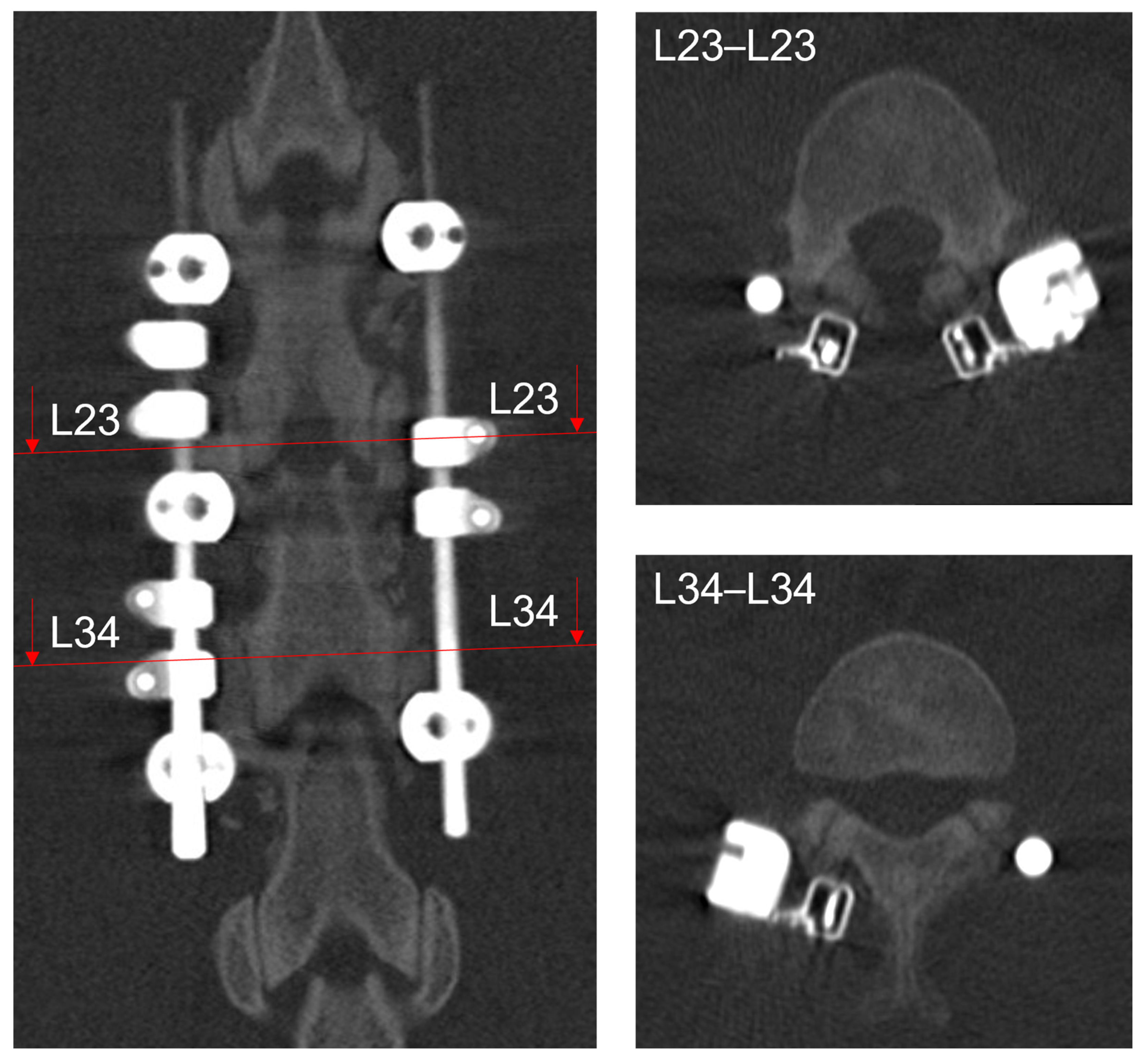 Medicina 58 00899 g005