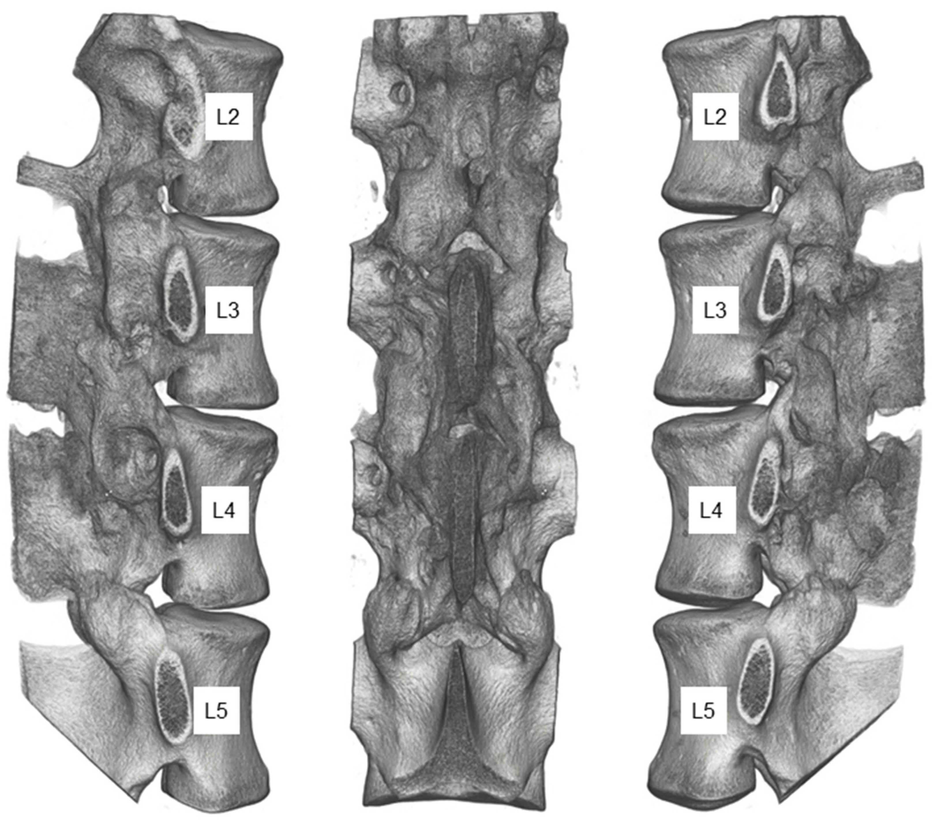 Medicina 58 00899 g006