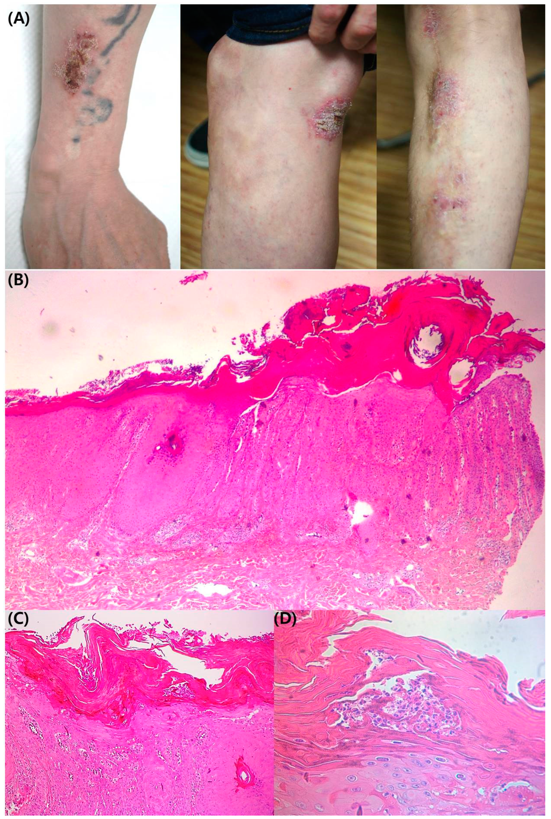 Medicina 58 00902 g001 Medicina 58 00902 g001