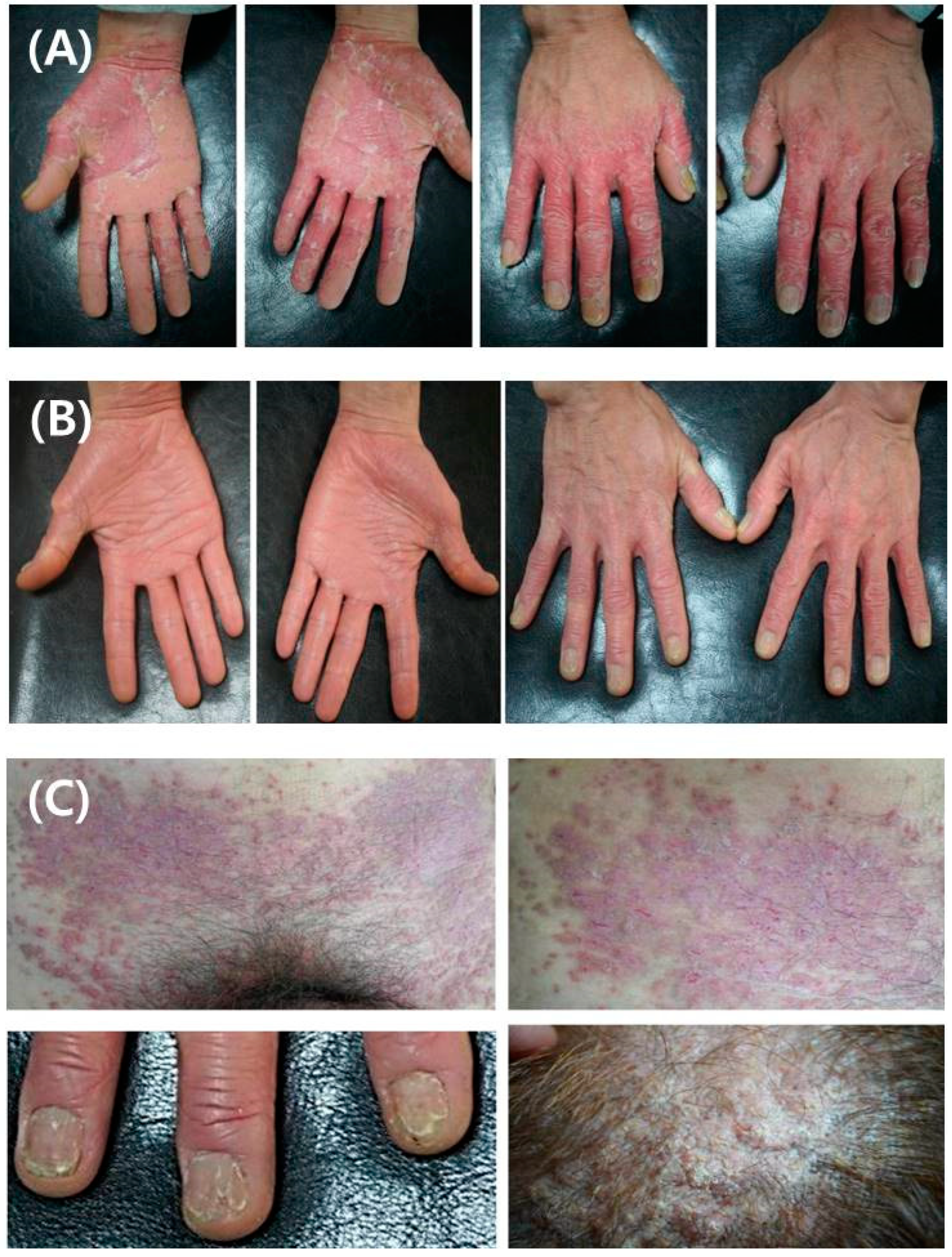 Medicina 58 00902 g002 Medicina 58 00902 g002