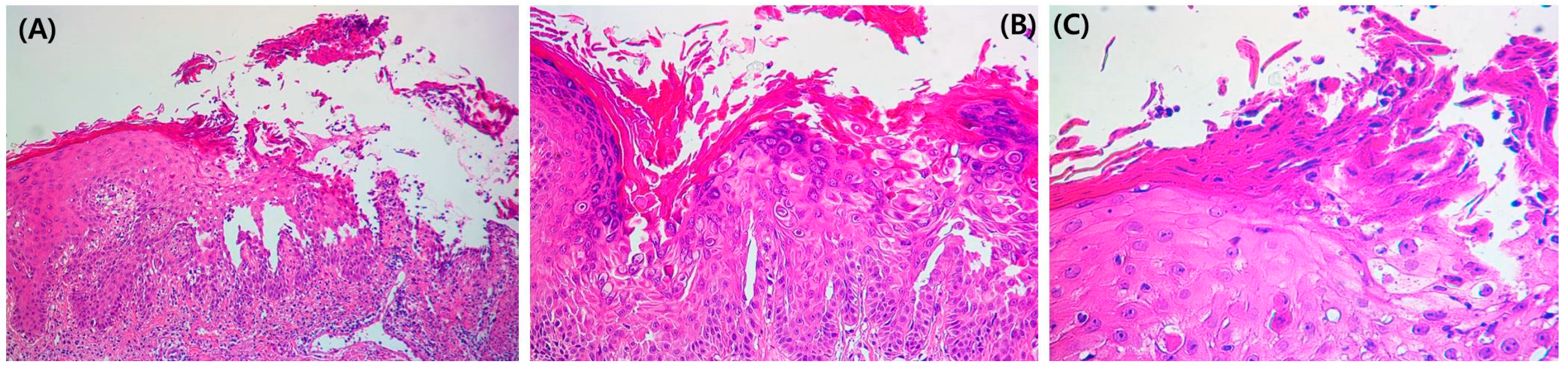Medicina 58 00902 g003 Medicina 58 00902 g003