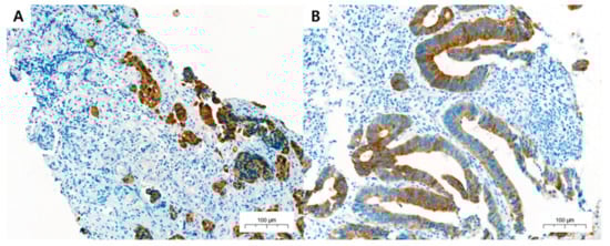 Medicina 58 00926 g002 550
