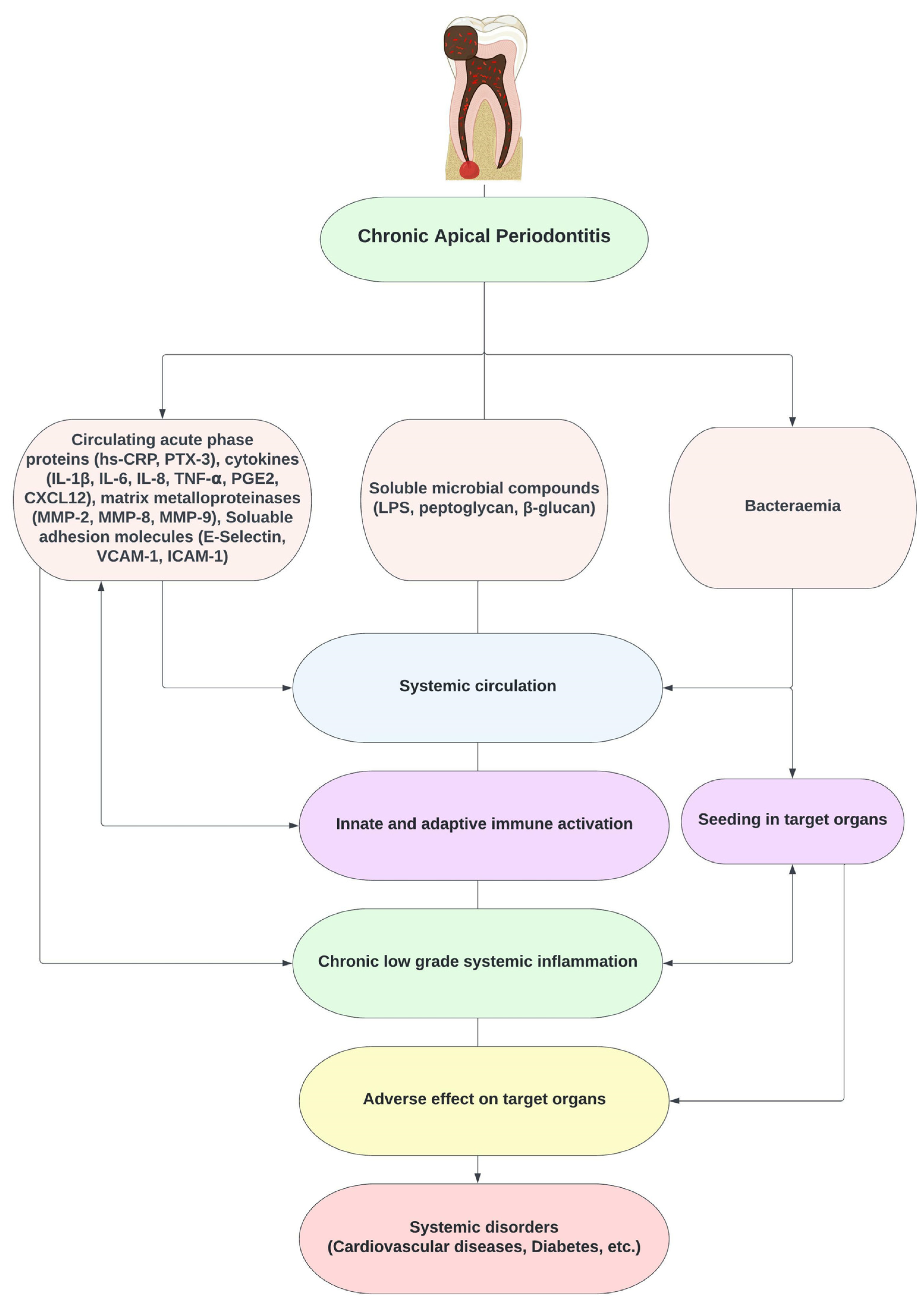 Medicina 58 00931 g002