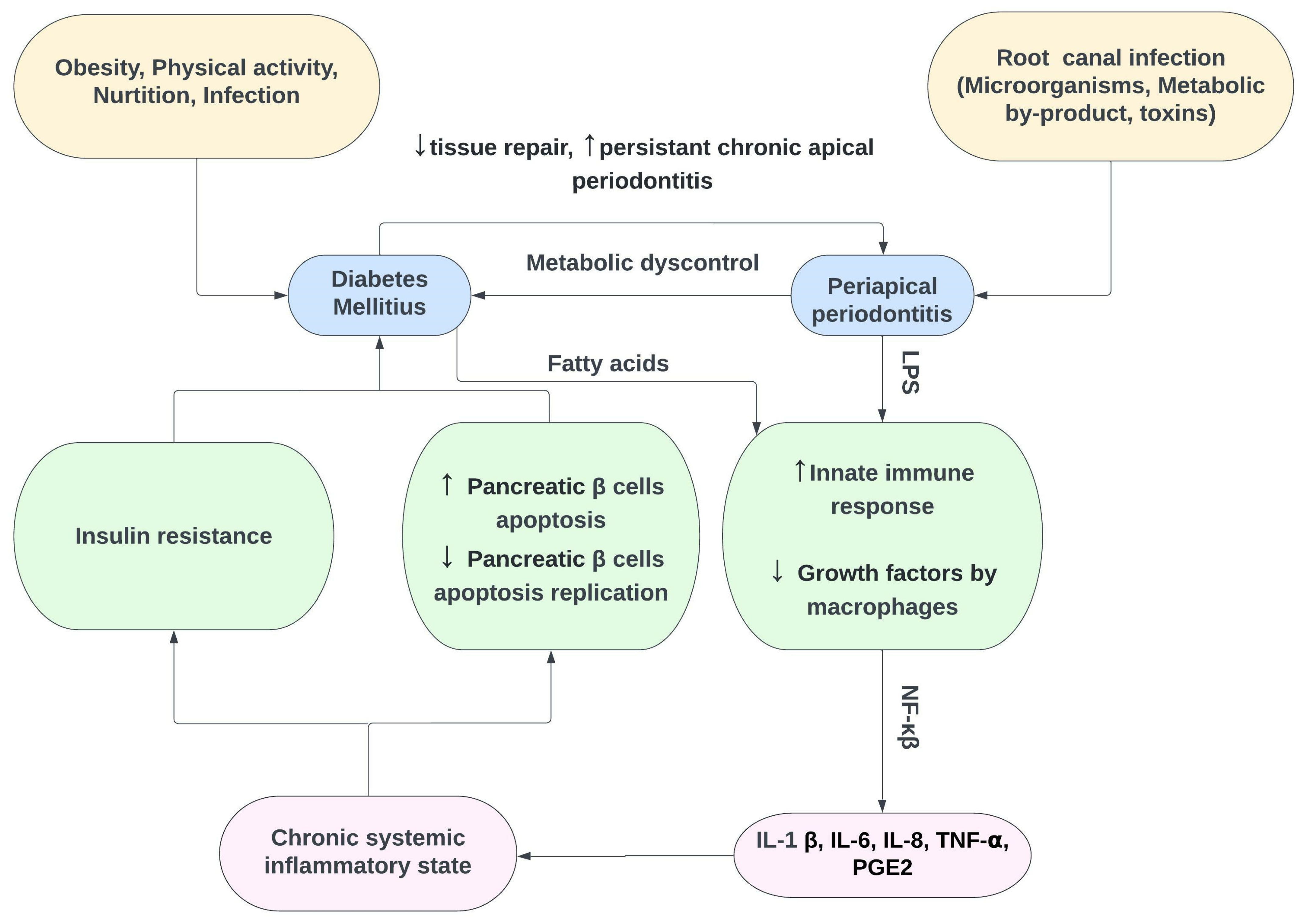 Medicina 58 00931 g004